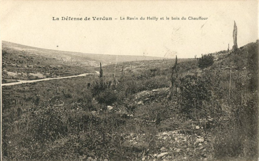 Verdun - Ravin de Heilly