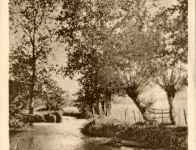 Quartier des Vernizeaux - La Marolle