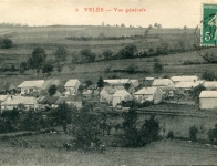 Velée