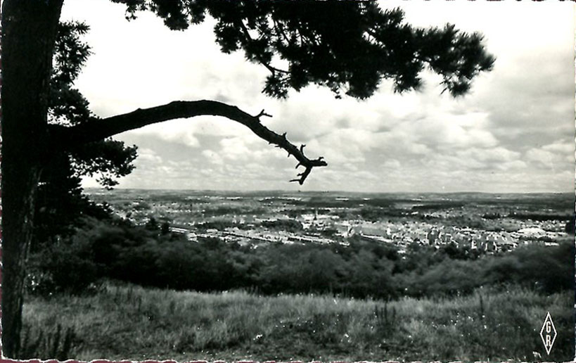 Vue panoramique