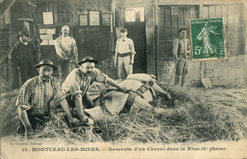 Descente d'un cheval (2e phase)