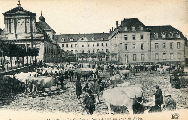 Collège et Notre-Dame