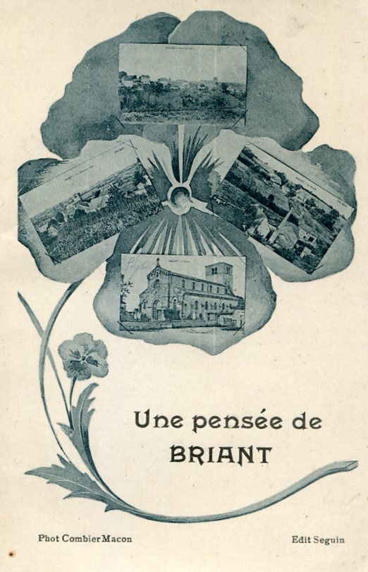 Pensée de Briant