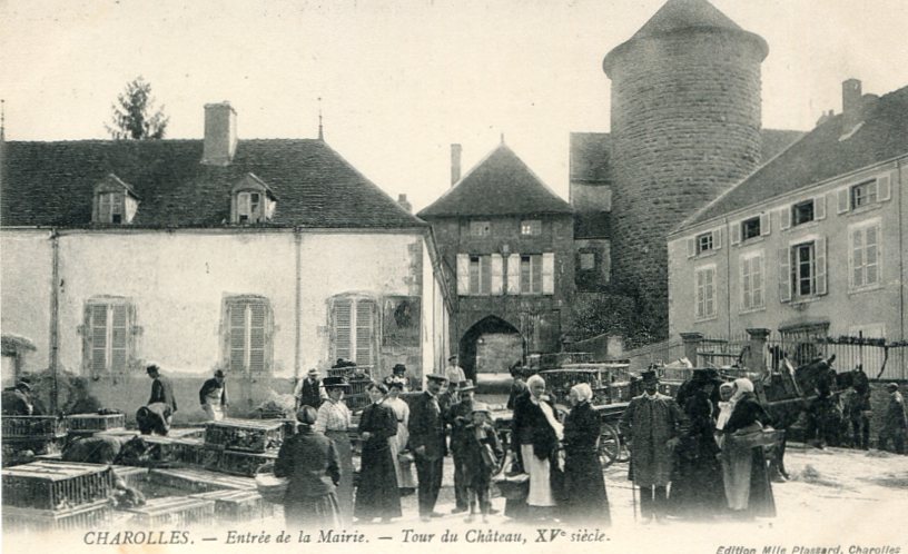Mairie et Tour du Château