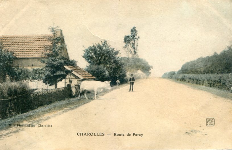 Route de Paray