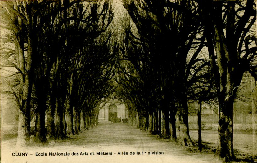 Allée de la 1ère division