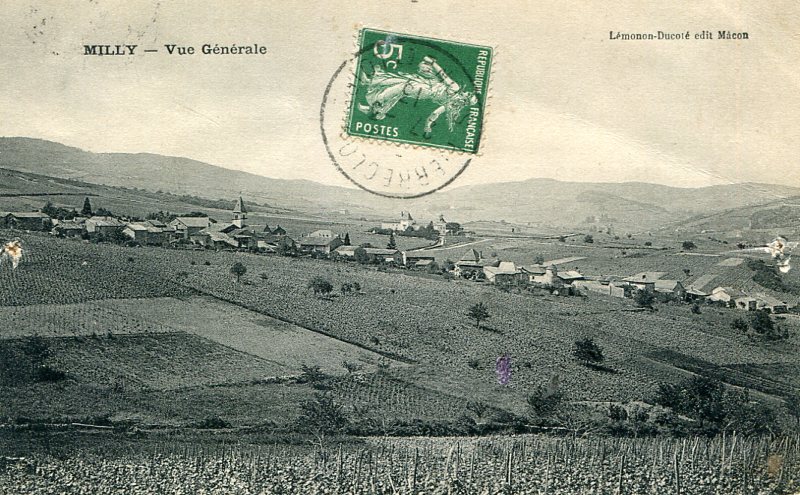 Vue générale