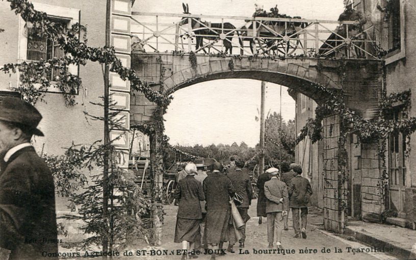 La bourrique nére de la Tçarollaise