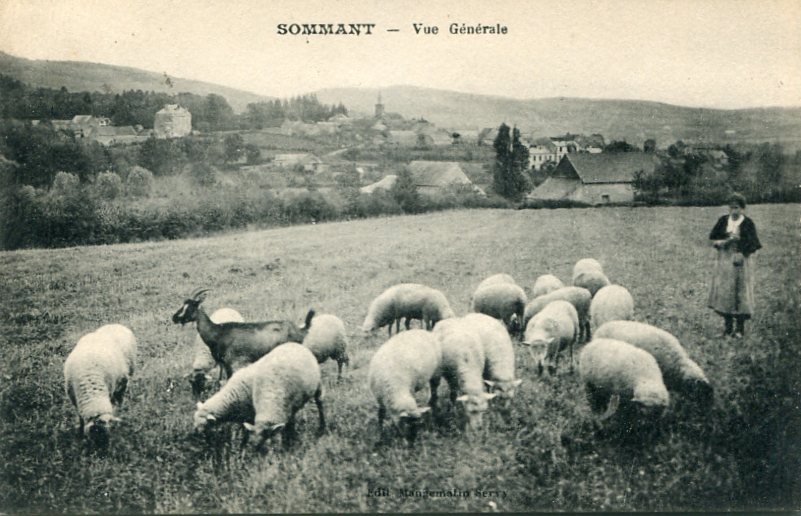 Vue générale