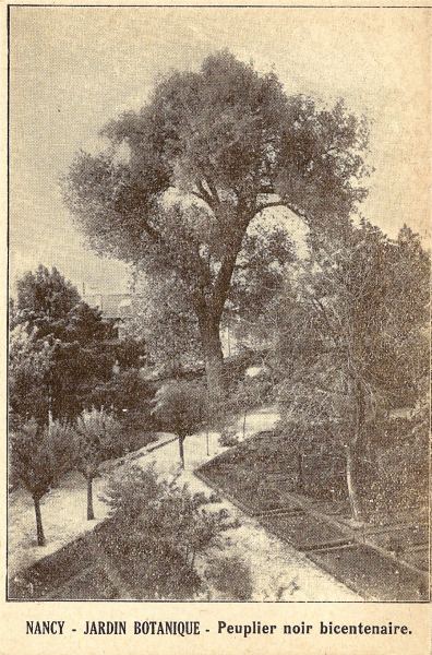 Nancy - Jardin Botanique
