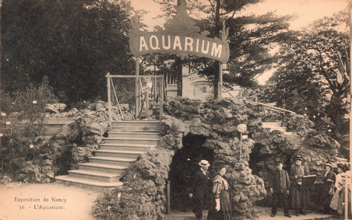56 - L'Aquarium