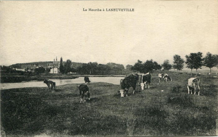 La Meurthe à Laneuveville