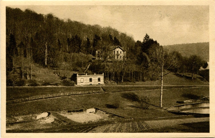 17 - Bellefontaine (Pépinière)