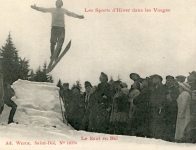 Saut