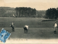 8 - Golf