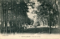 Un coin du Parc