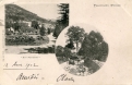 «Aux Fougères»