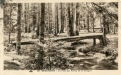 09-Pont aux Perles