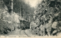 260-Train