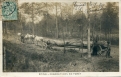 Charretiers en forêt