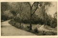 Un coin du Parc