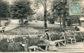 Dans le Parc