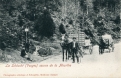 Source de la Meurthe
