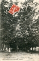Tilleuls (Avenue des)