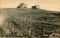 Pendant la Guerre