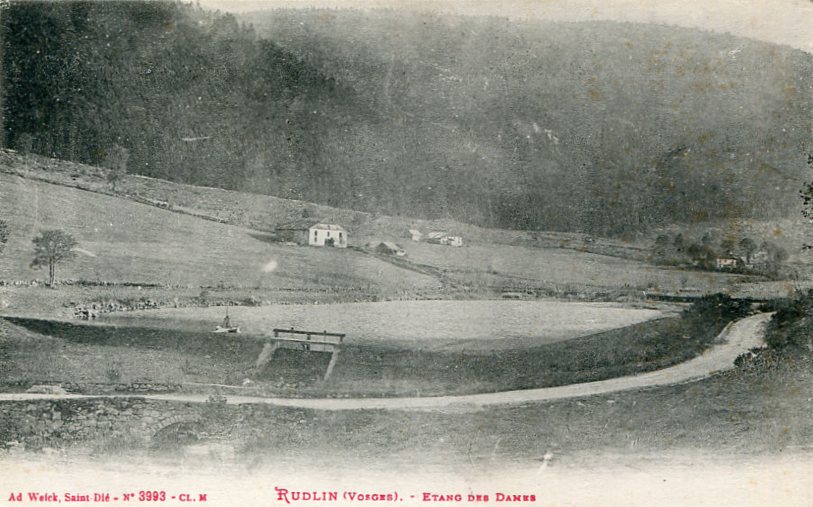 040 - Étang des Dames