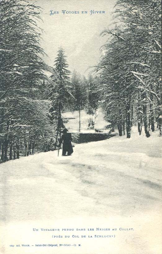 Perdu dans les neiges