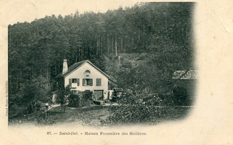 Maison forestière