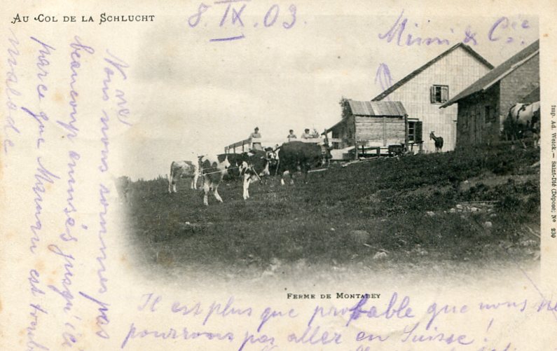 05-Ferme Montabey