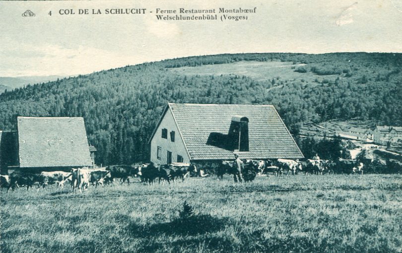 20-Montaboeuf