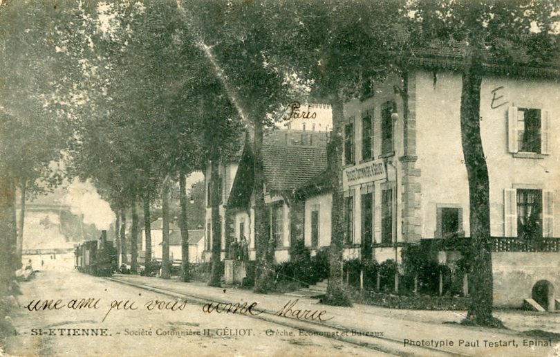 Société Cotonnière