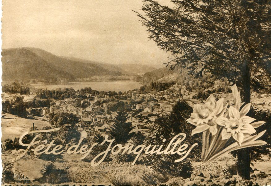 Jonquilles
