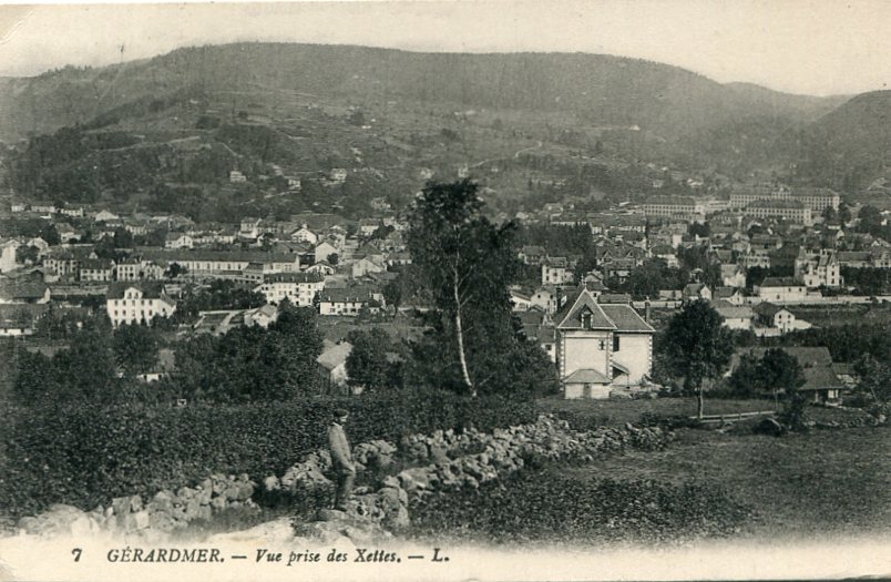 Vue