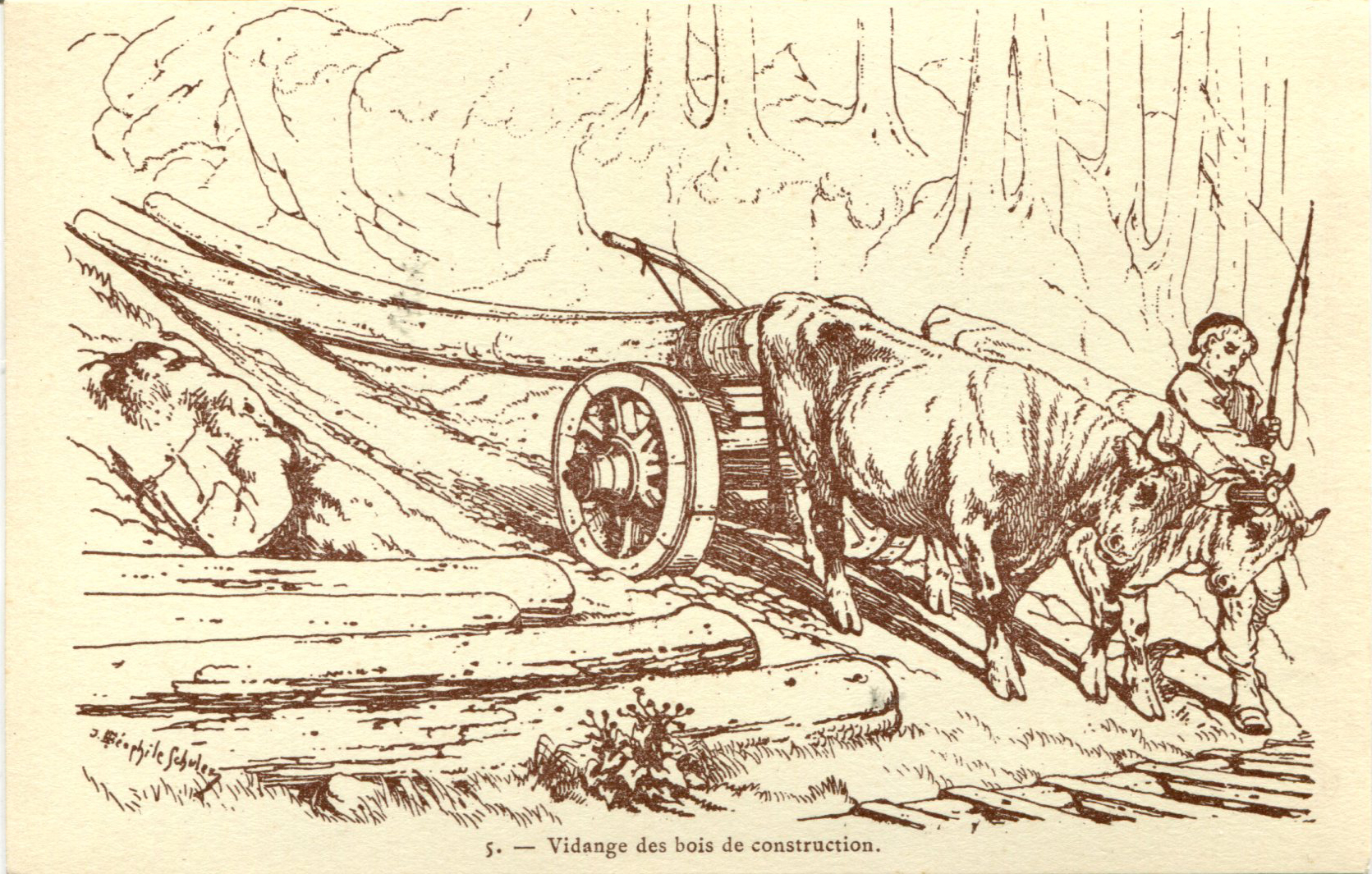 05 - Vidange des bois