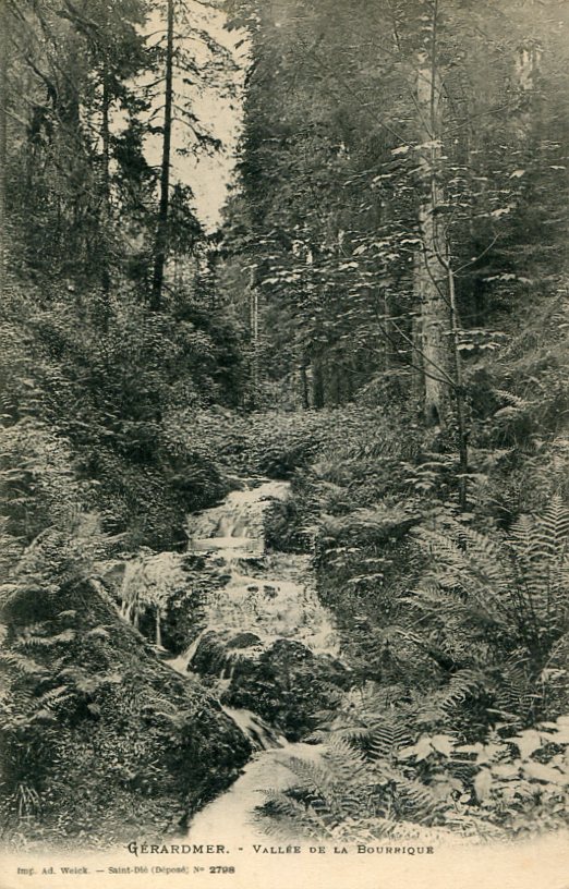 Bourrique-75