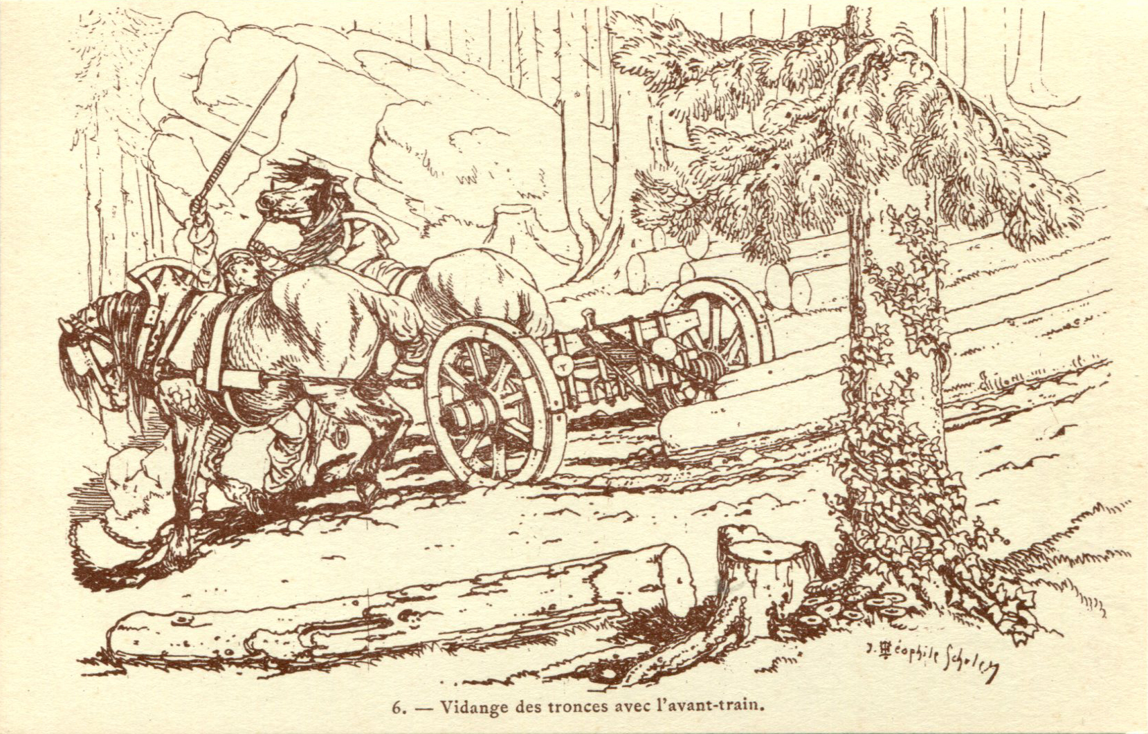 06 - Vidange des troncs