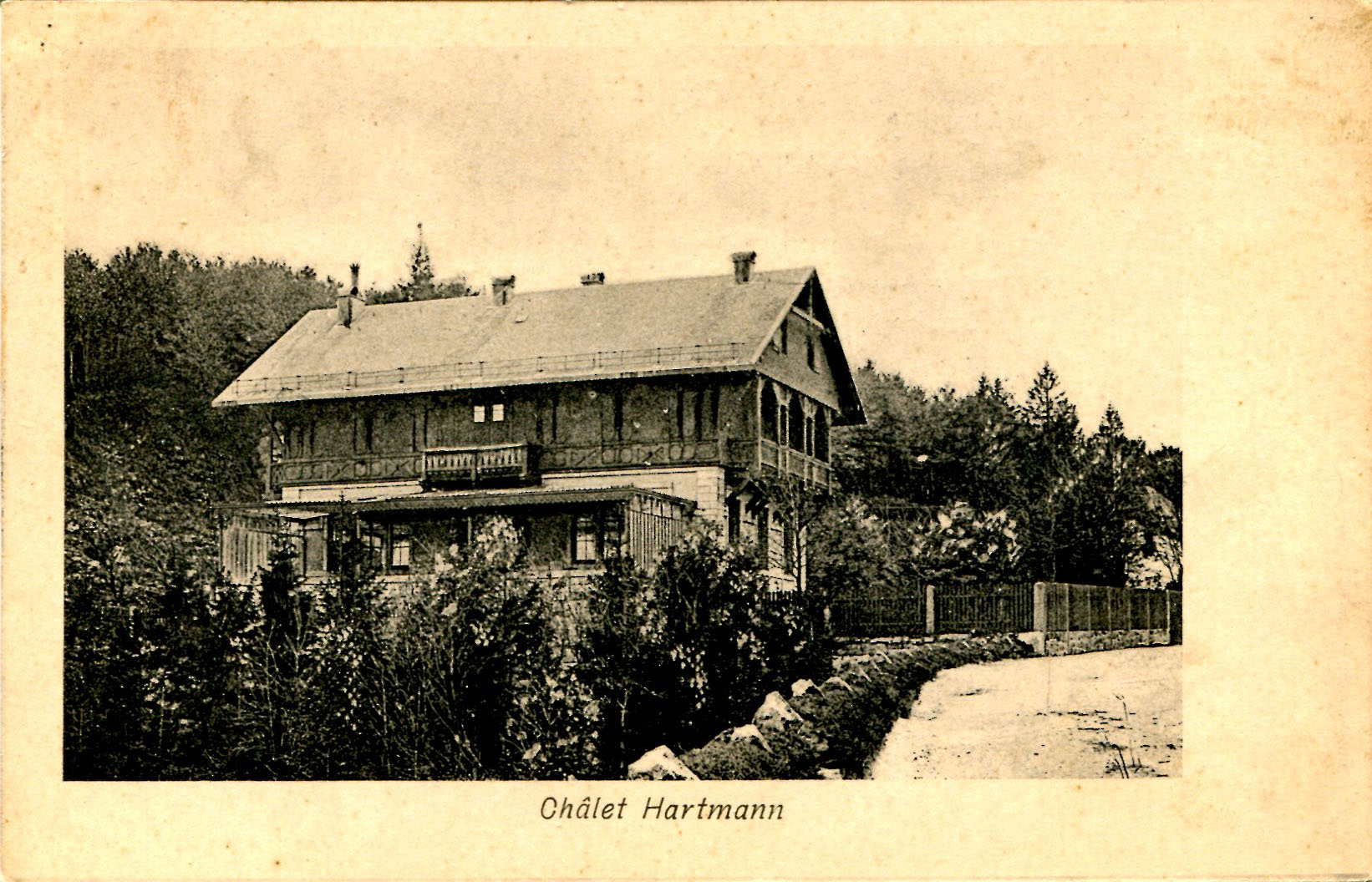 Hartmann-17b