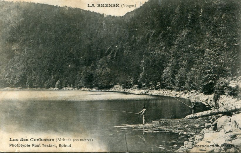 Corbeaux-10