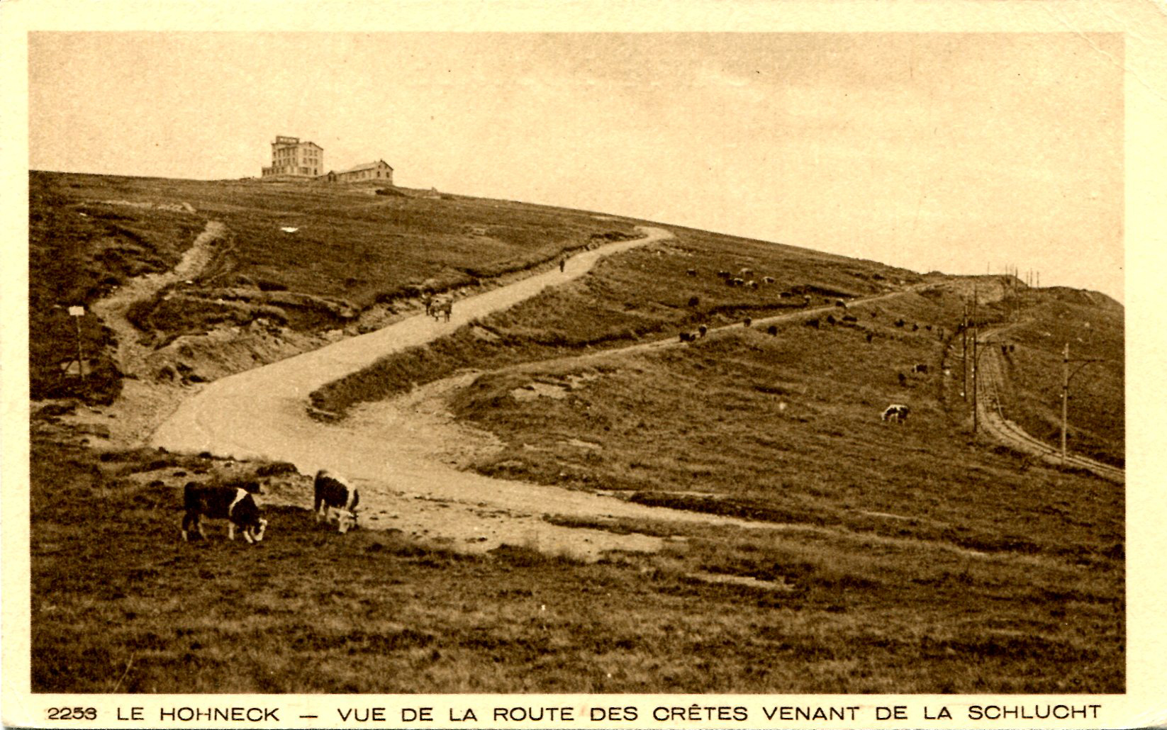 Hohneck-V-027