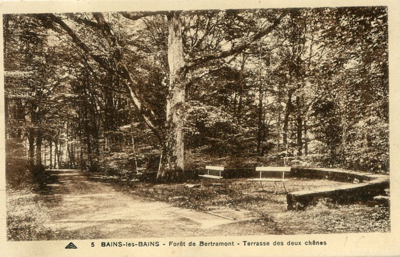Terrasse des deux chênes