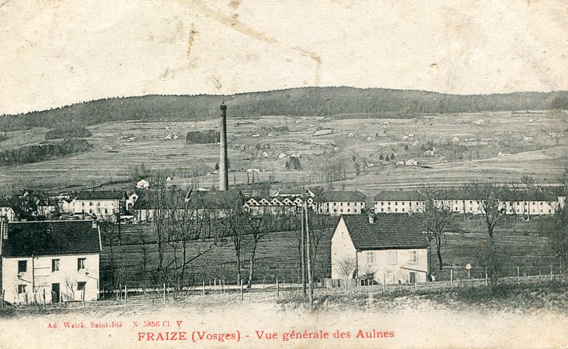 Vue générale des aulnes