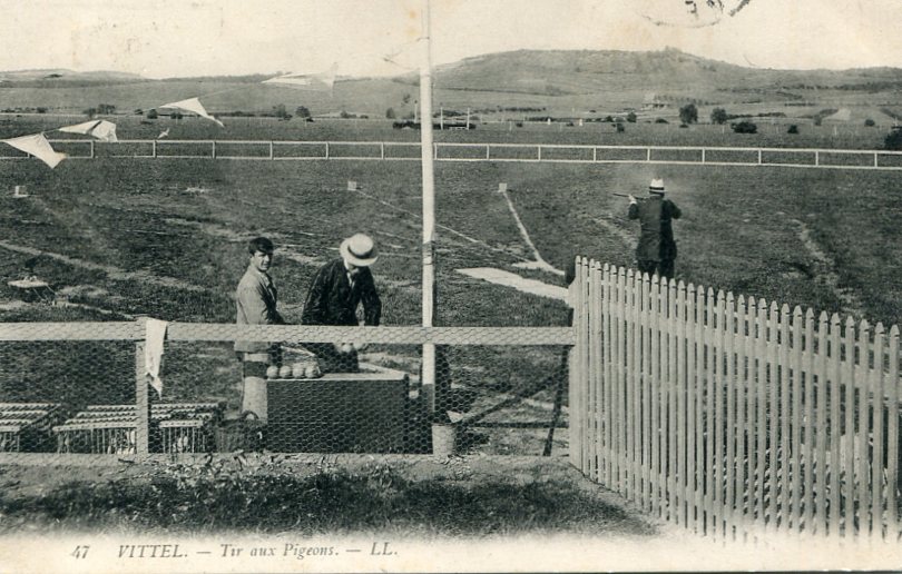 Tir aux pigeons