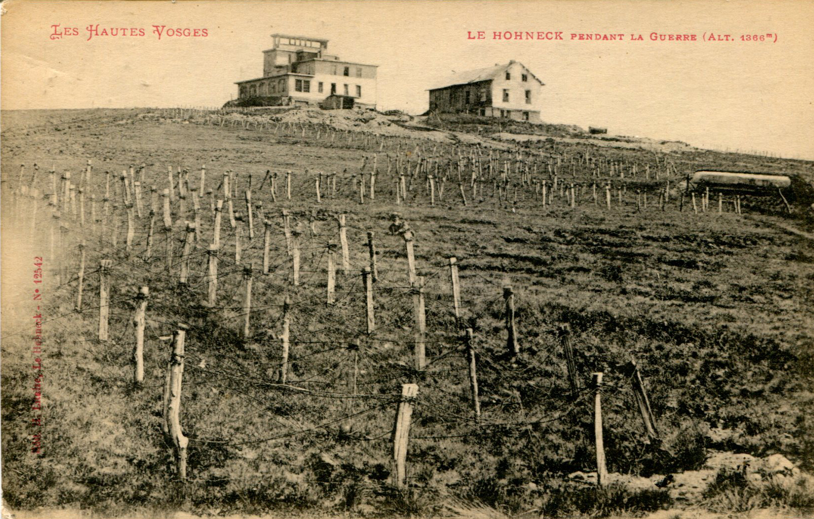 Pendant la Guerre