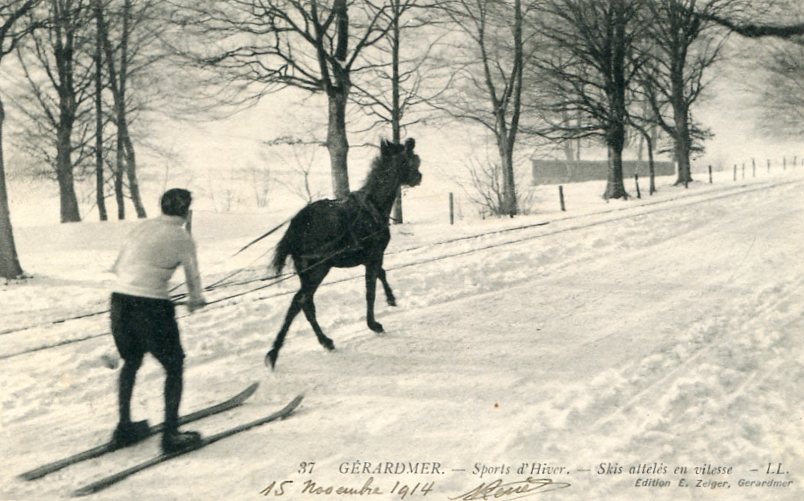 Skis attelés